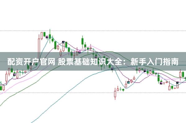 配资开户官网 股票基础知识大全：新手入门指南
