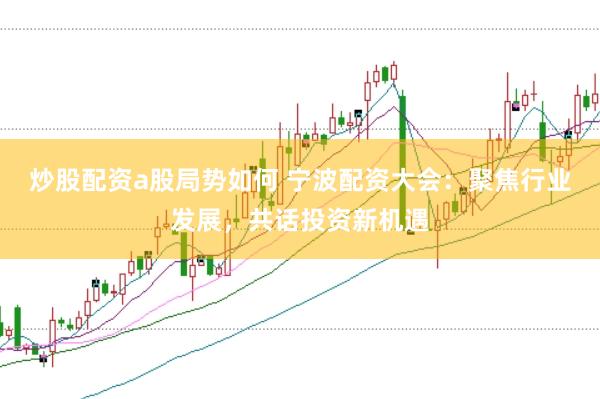 炒股配资a股局势如何 宁波配资大会：聚焦行业发展，共话投资新机遇