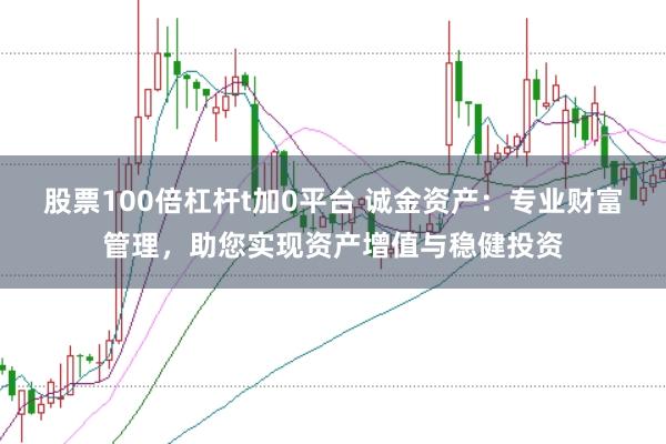 股票100倍杠杆t加0平台 诚金资产：专业财富管理，助您实现资产增值与稳健投资
