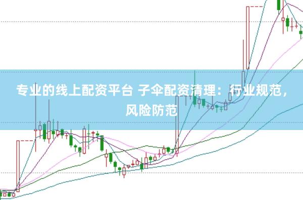 专业的线上配资平台 子伞配资清理：行业规范，风险防范