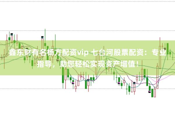 鑫东财有名杨方配资vip 七台河股票配资：专业指导，助您轻松实现资产增值！