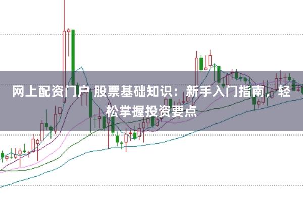网上配资门户 股票基础知识：新手入门指南，轻松掌握投资要点