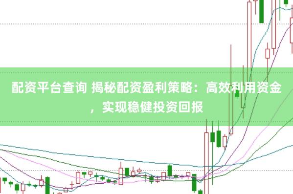 配资平台查询 揭秘配资盈利策略：高效利用资金，实现稳健投资回报